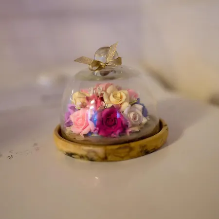 Archontiko Alexandros Boutique בית הארחה