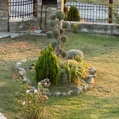 Archontiko Alexandros Luxury ゲストハウス Kardiá