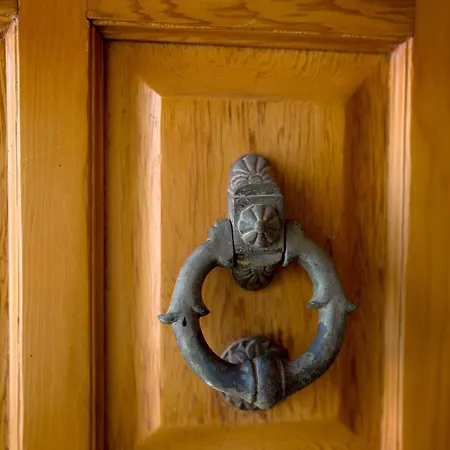 ゲストハウス Archontiko Alexandros Luxury Kardiá