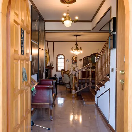 Maison d'hôtes Archontiko Alexandros Boutique Kardiá