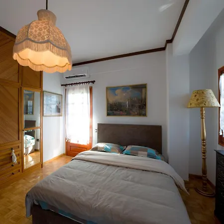 ゲストハウス Archontiko Alexandros Luxury