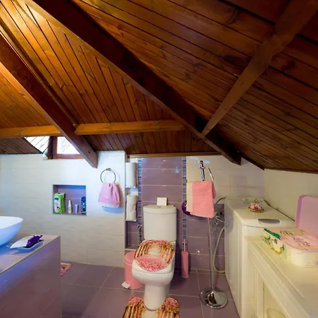 Archontiko Alexandros Luxury 招待所