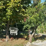 Affittacamere Archontiko Alexandros Boutique Hotel