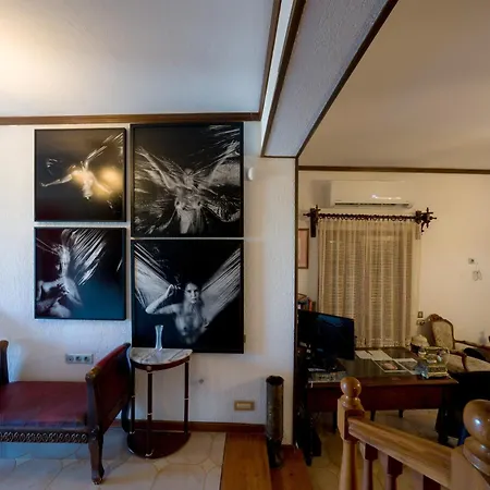 Archontiko Alexandros Luxury 招待所 *